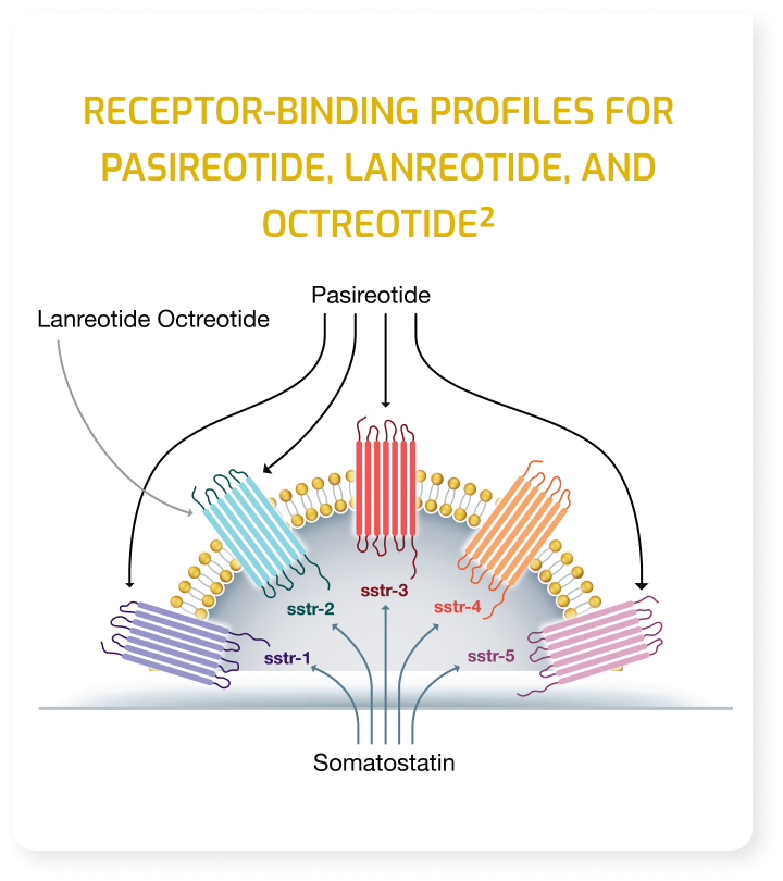 Receptor-binding profiles for pasireotide, lanreotide, and octreotide